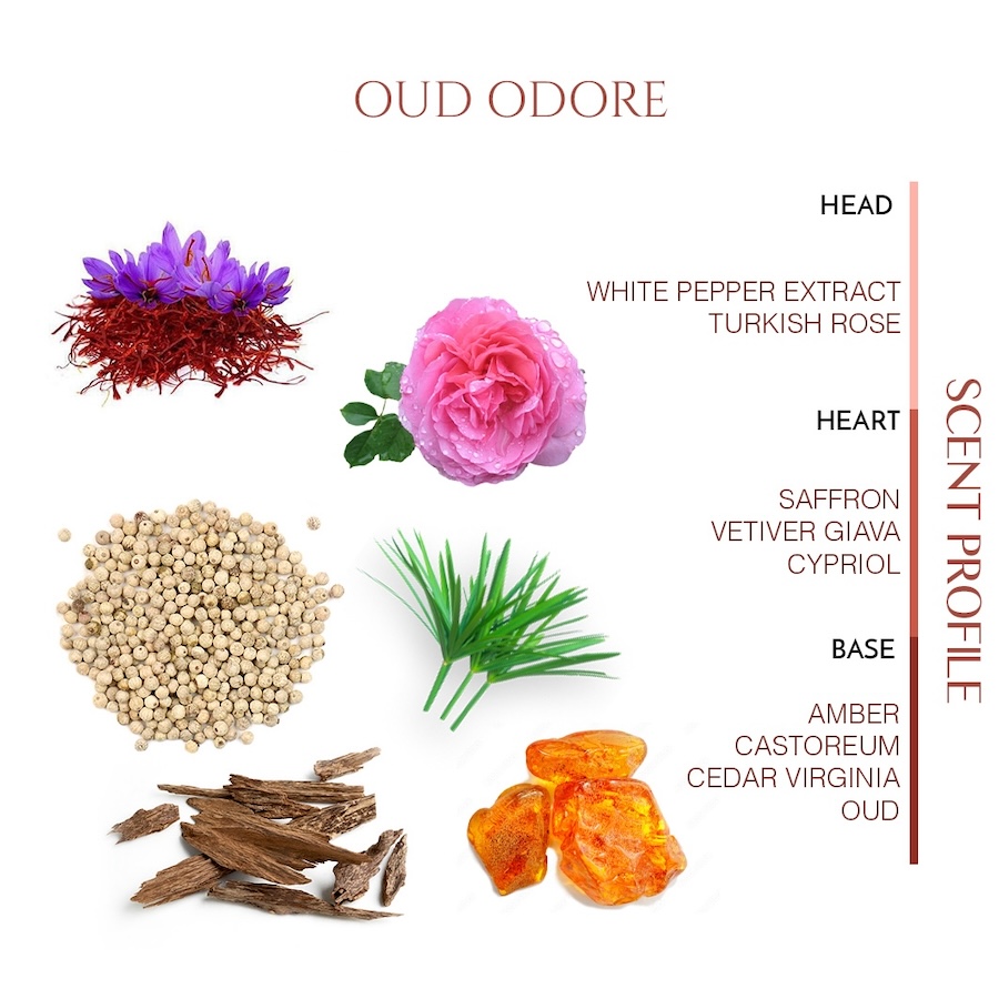 OUD_ODORE_Scent_Profile_900x900.jpg